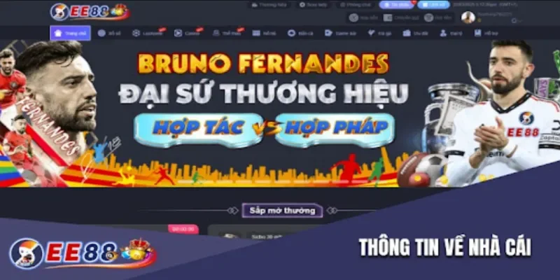 trang chủ 1126 Nguồn gốc và giấy phép hoạt động hợp pháp của EE88